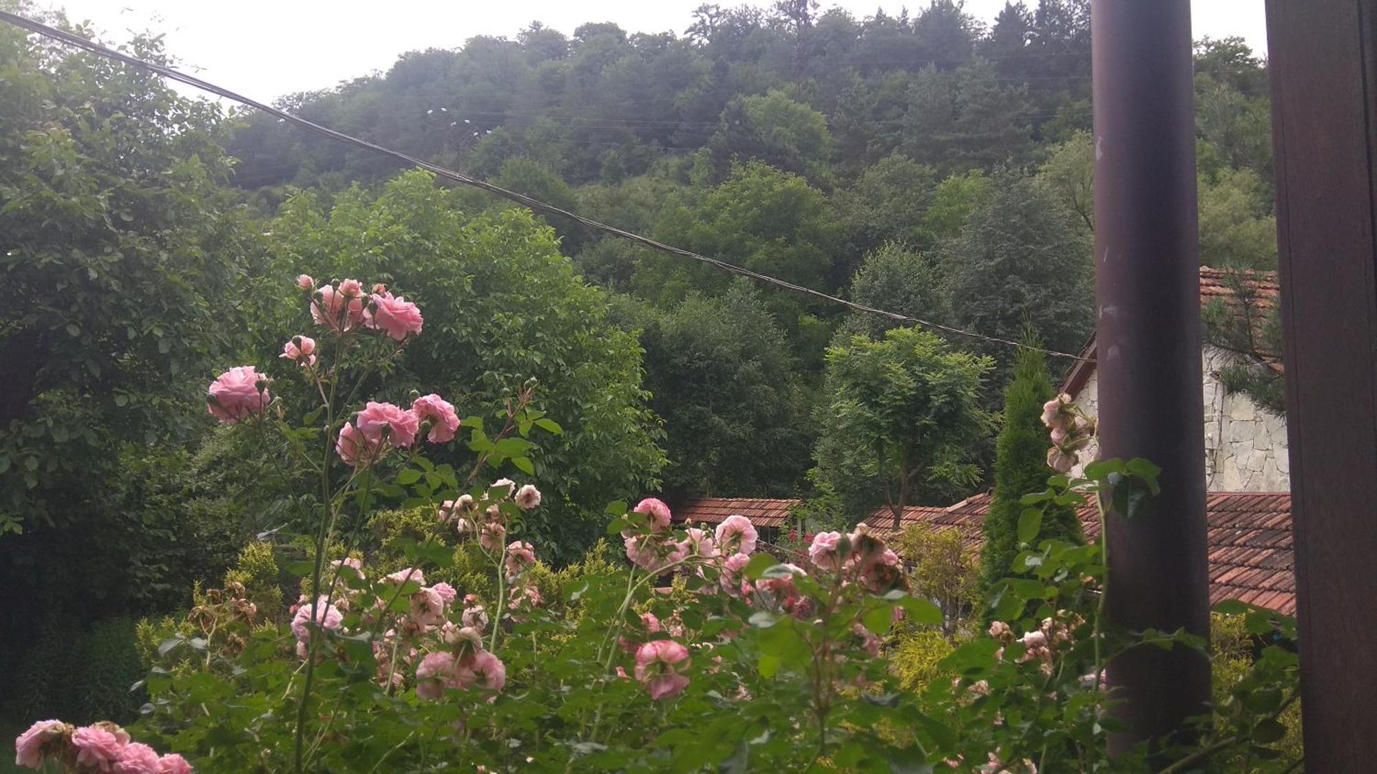Bed and Breakfast Eco Garden Dilijan Exterior foto