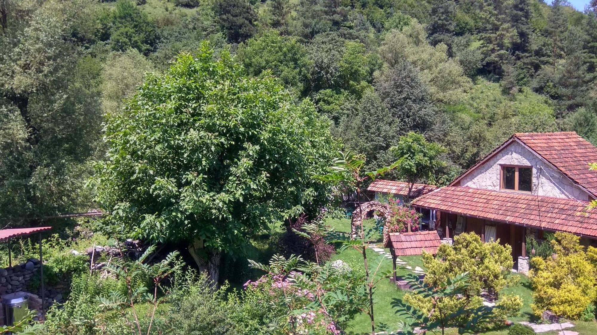 Bed and Breakfast Eco Garden Dilijan Exterior foto
