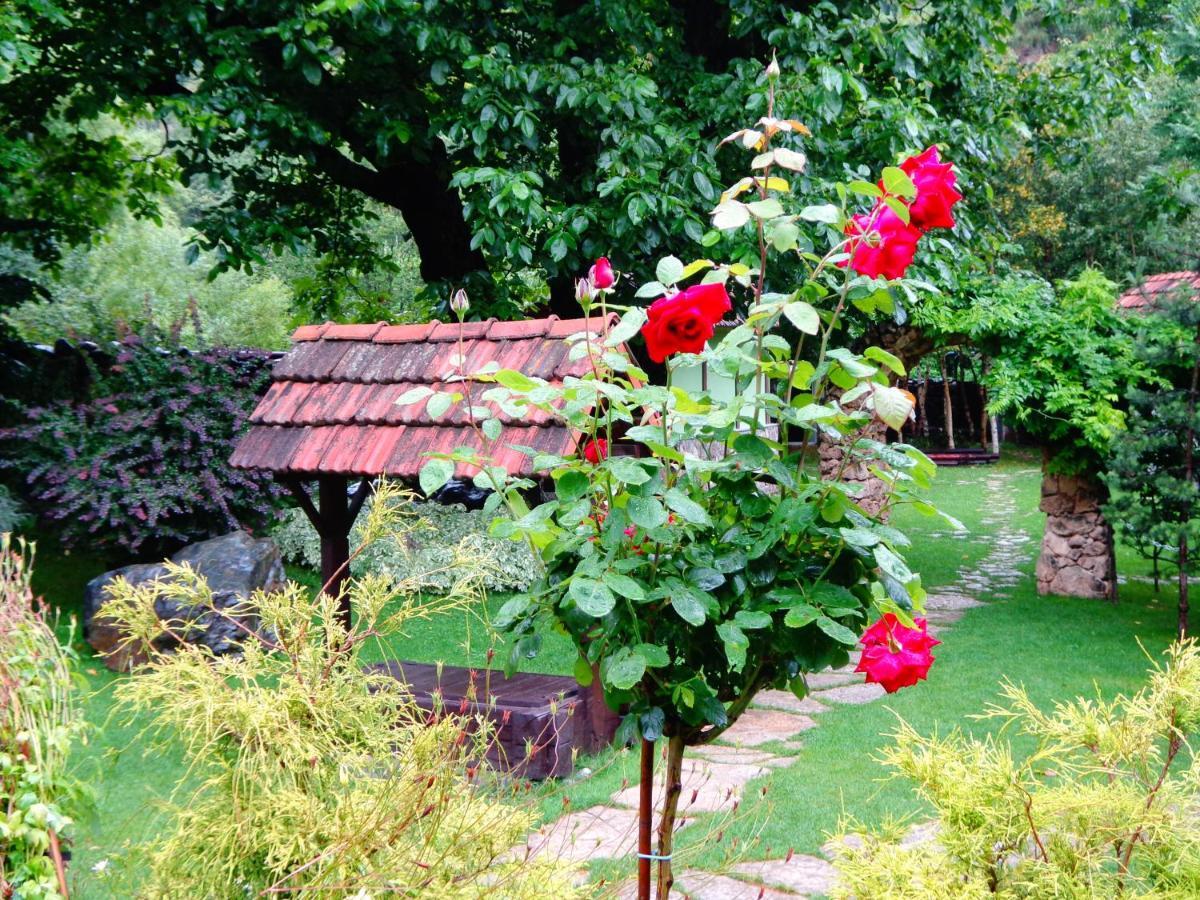 Bed and Breakfast Eco Garden Dilijan Exterior foto